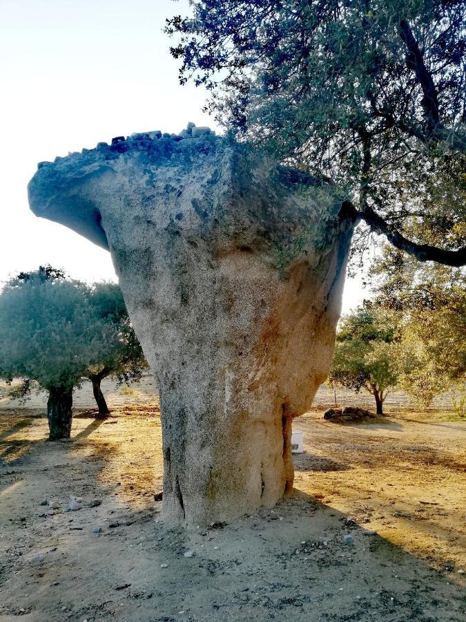 Casinha Do Sol-Posto Villa Monsaraz Eksteriør bilde